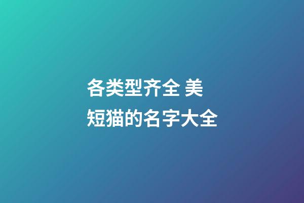 各类型齐全 美短猫的名字大全